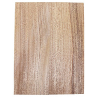 Mahogany 2 Piece Body Blank