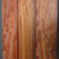 Cooktown Ironwood Fretboard blanks